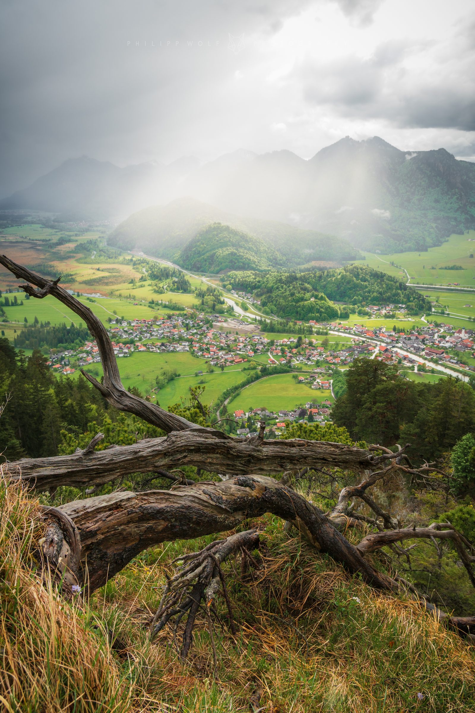 Blick über ein bayerisches Tal mit Totholz im Vordergrund, Hochformat